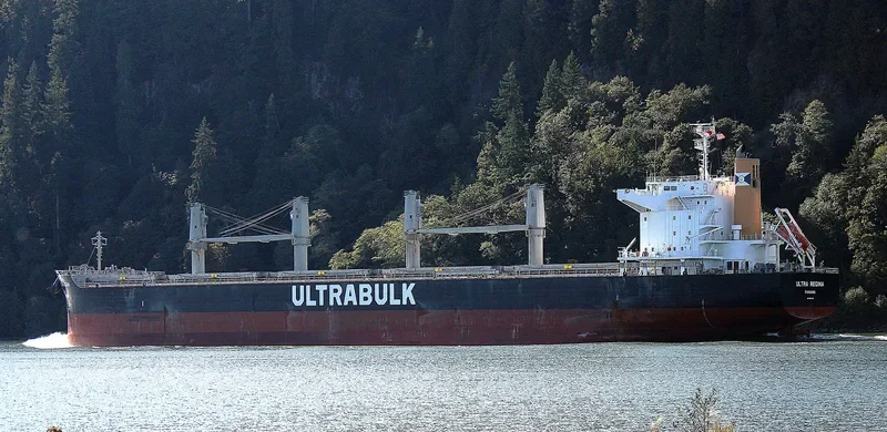 ULTRA REGINA Bulk Carrier IMO 9667435