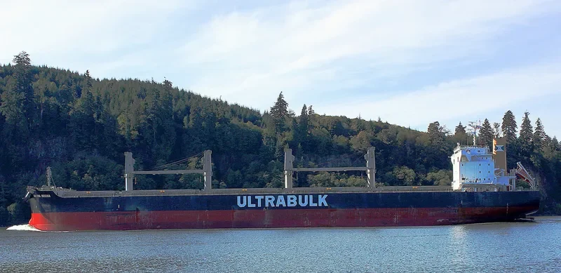 ULTRA REGINA Bulk Carrier IMO 9667435 photo 2