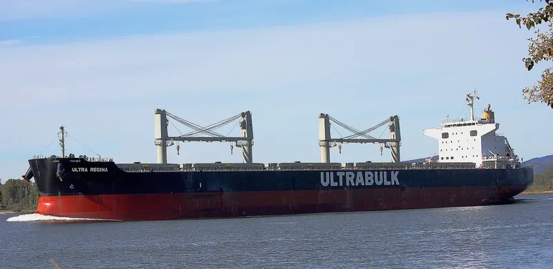 ULTRA REGINA Bulk Carrier IMO 9667435 photo 3