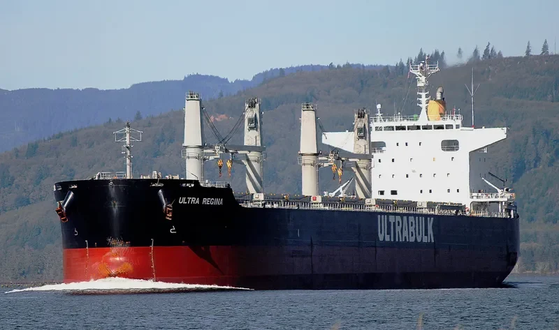 ULTRA REGINA Bulk Carrier IMO 9667435 photo 4