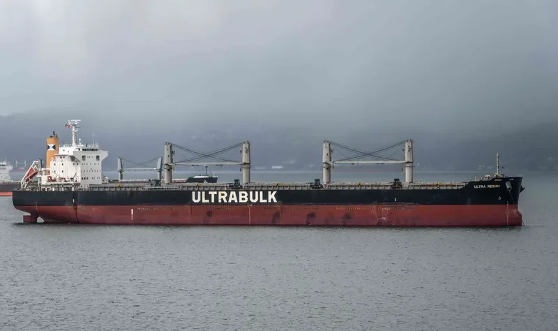 ULTRA REGINA Bulk Carrier IMO 9667435 photo 5