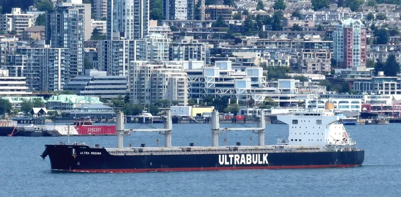 ULTRA REGINA Bulk Carrier IMO 9667435 photo 6