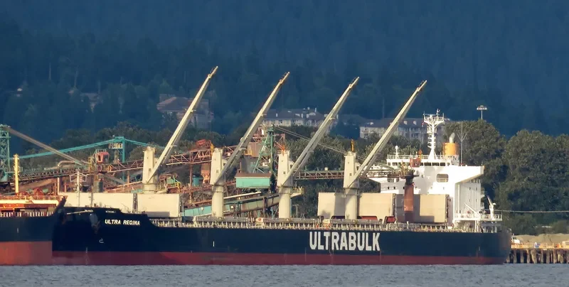 ULTRA REGINA Bulk Carrier IMO 9667435 photo 7