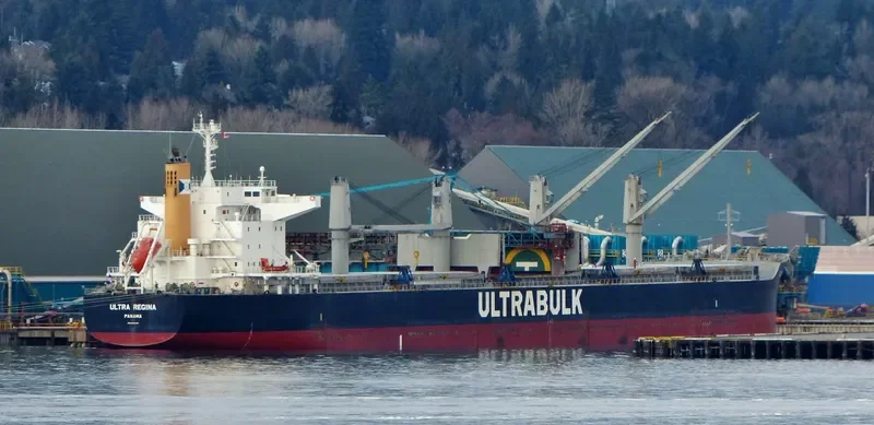 ULTRA REGINA Bulk Carrier IMO 9667435 photo 9