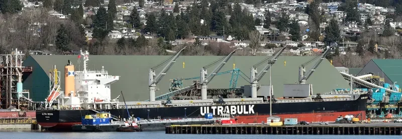 ULTRA REGINA Bulk Carrier IMO 9667435 photo 10