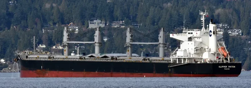 CLIPPER TRITON Bulk Carrier IMO 9667447 photo 7