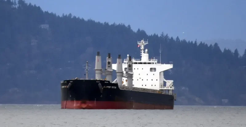 CLIPPER TRITON Bulk Carrier IMO 9667447 photo 8