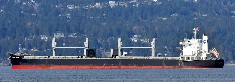 CLIPPER TRITON Bulk Carrier IMO 9667447 photo 10