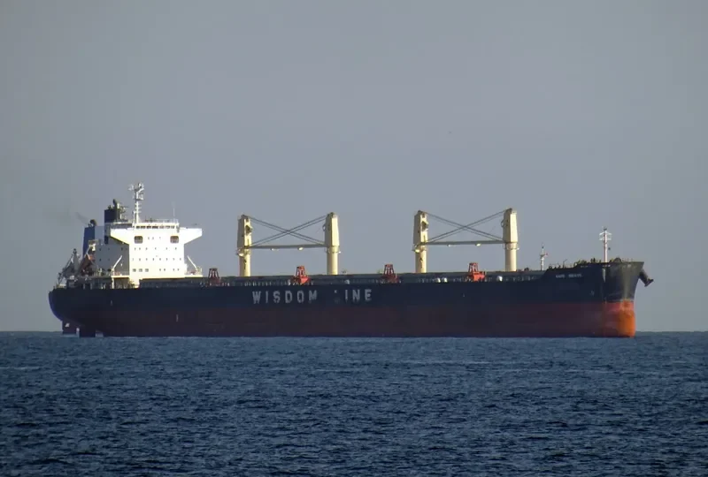 AMIS BRAVE Bulk Carrier IMO 9667459