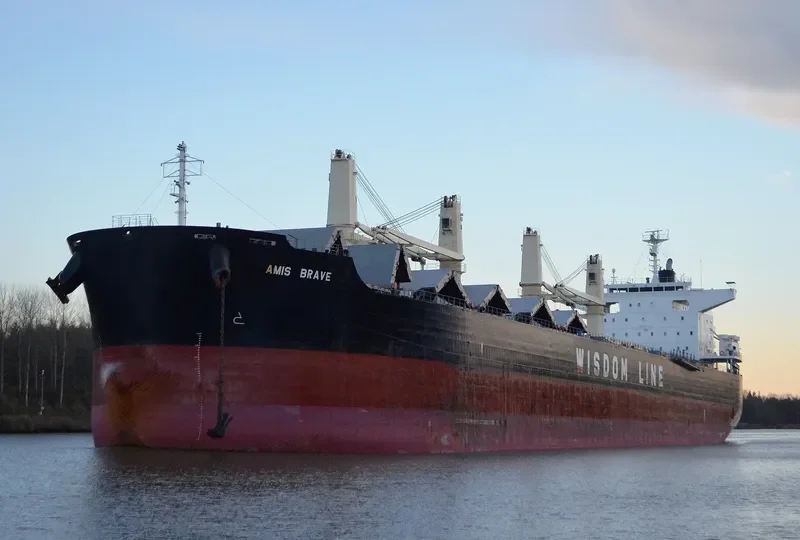 AMIS BRAVE Bulk Carrier IMO 9667459 photo 3