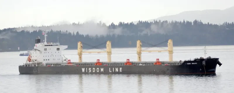 AMIS BRAVE Bulk Carrier IMO 9667459 photo 4