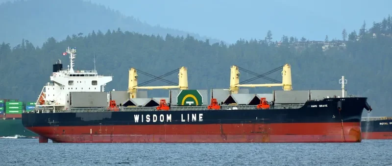 AMIS BRAVE Bulk Carrier IMO 9667459 photo 5