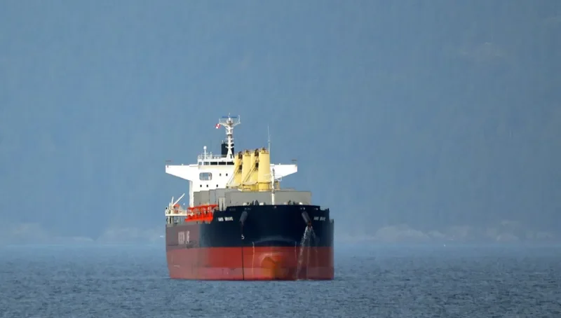 AMIS BRAVE Bulk Carrier IMO 9667459 photo 6