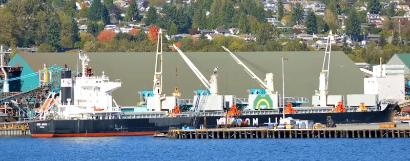 AMIS BRAVE Bulk Carrier IMO 9667459 photo 8