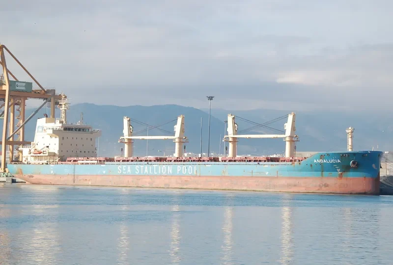 ANDALUCIA Bulk Carrier IMO 9667576 photo 5