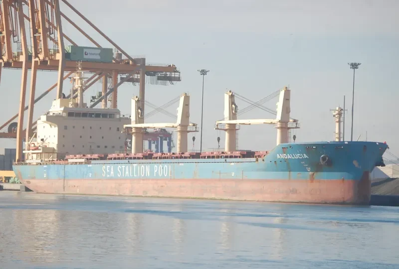 ANDALUCIA Bulk Carrier IMO 9667576 photo 6