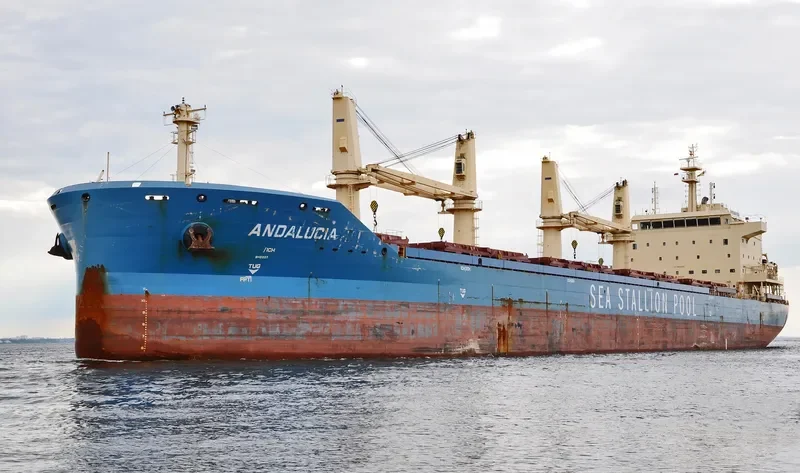 ANDALUCIA Bulk Carrier IMO 9667576 photo 7