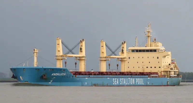 ANDALUCIA Bulk Carrier IMO 9667576 photo 9