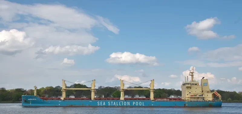ANDALUCIA Bulk Carrier IMO 9667576 photo 10