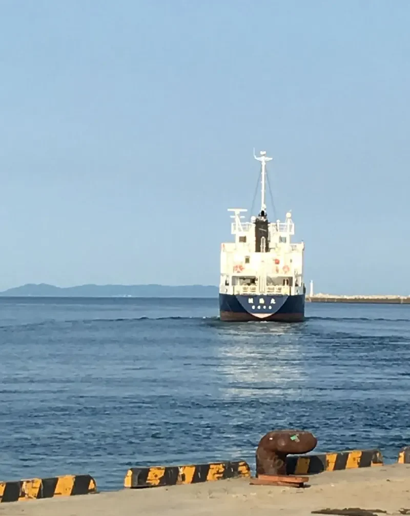 SEIRYU MARU General Cargo IMO 9667667