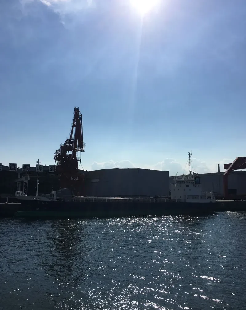 SEIRYU MARU General Cargo IMO 9667667 photo 2