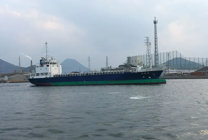 SEIRYU MARU General Cargo IMO 9667667 photo 3