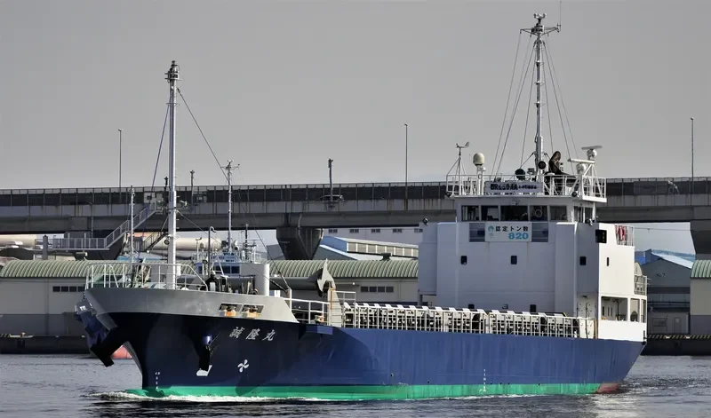 SEIRYU MARU General Cargo IMO 9667667 photo 8