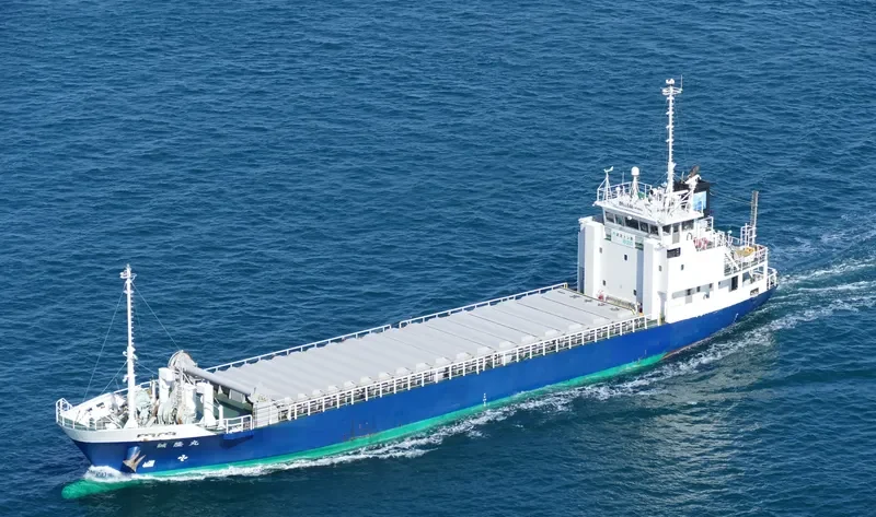 SEIRYU MARU General Cargo IMO 9667667 photo 10