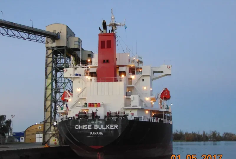 CHISE BULKER Bulk Carrier IMO 9667722