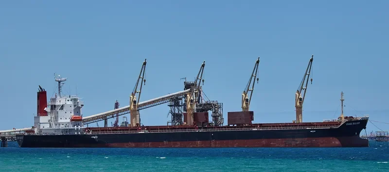 CHISE BULKER Bulk Carrier IMO 9667722 photo 3