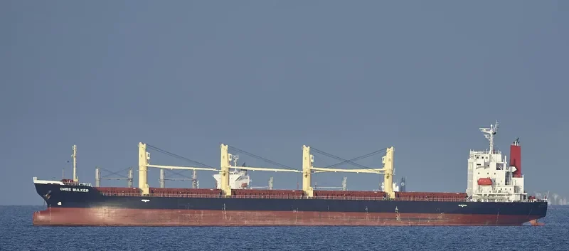 CHISE BULKER Bulk Carrier IMO 9667722 photo 5
