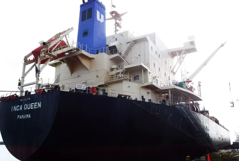 INCA QUEEN Bulk Carrier IMO 9667758