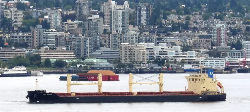 INCA QUEEN Bulk Carrier IMO 9667758 photo 2