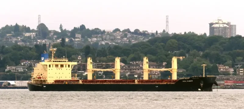 INCA QUEEN Bulk Carrier IMO 9667758 photo 3