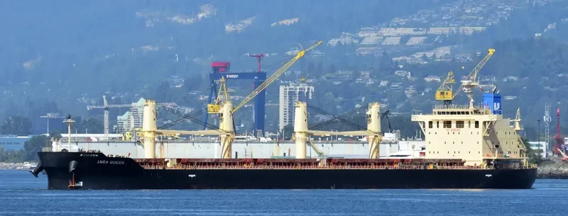 INCA QUEEN Bulk Carrier IMO 9667758 photo 5