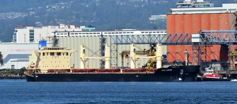 INCA QUEEN Bulk Carrier IMO 9667758 photo 6
