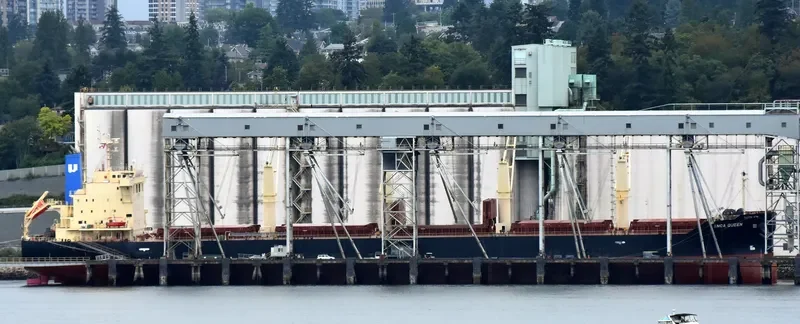 INCA QUEEN Bulk Carrier IMO 9667758 photo 7