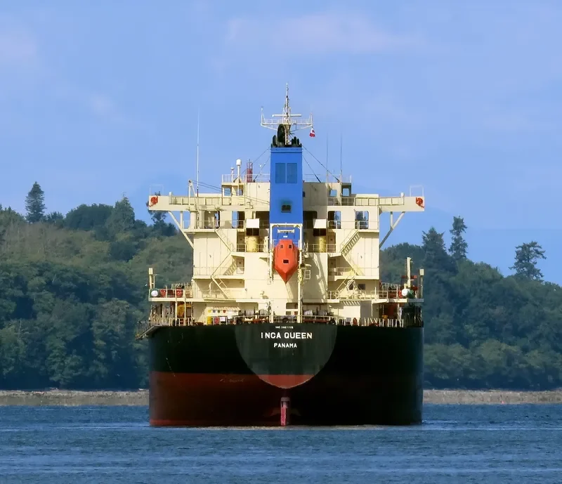 INCA QUEEN Bulk Carrier IMO 9667758 photo 8