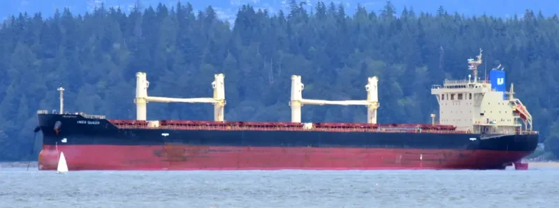INCA QUEEN Bulk Carrier IMO 9667758 photo 9