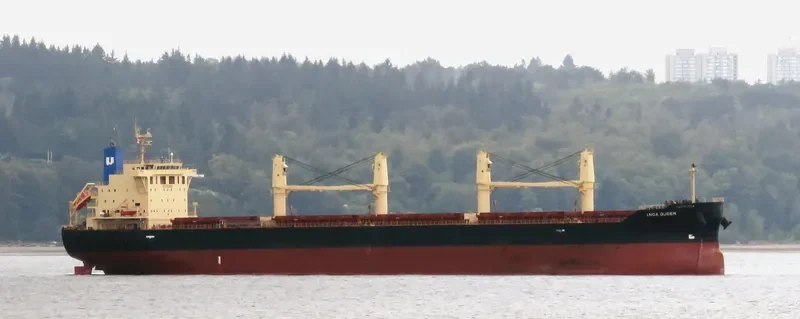 INCA QUEEN Bulk Carrier IMO 9667758 photo 10
