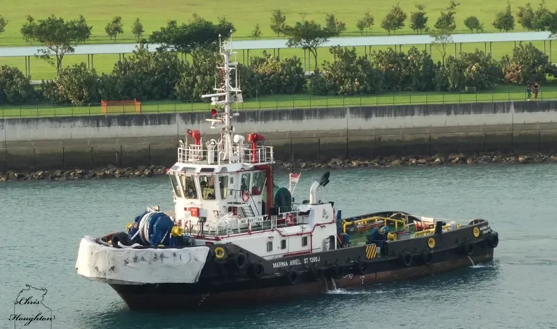 MARINA ARIEL General Cargo IMO 9667784 photo 2