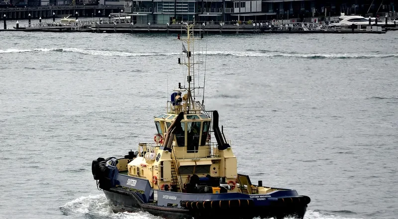 SVITZER WARATAH General Cargo IMO 9667801