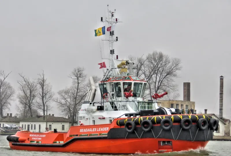 SEAEAGLES LEADER General Cargo IMO 9667849