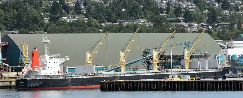 HPC ATLANTIC Bulk Carrier IMO 9667899 photo 4