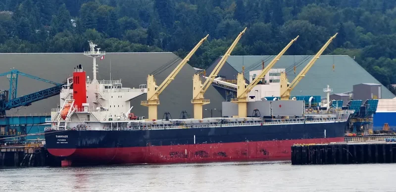 HPC ATLANTIC Bulk Carrier IMO 9667899 photo 5