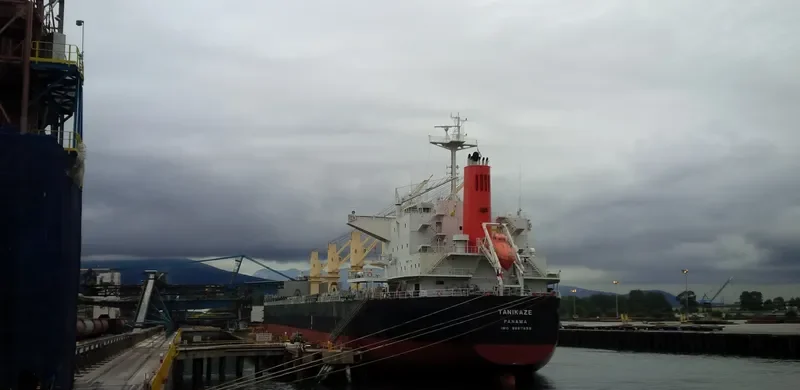 HPC ATLANTIC Bulk Carrier IMO 9667899 photo 6