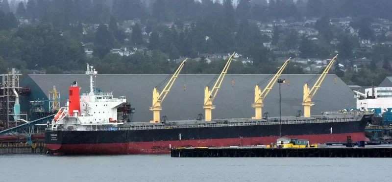 HPC ATLANTIC Bulk Carrier IMO 9667899 photo 7
