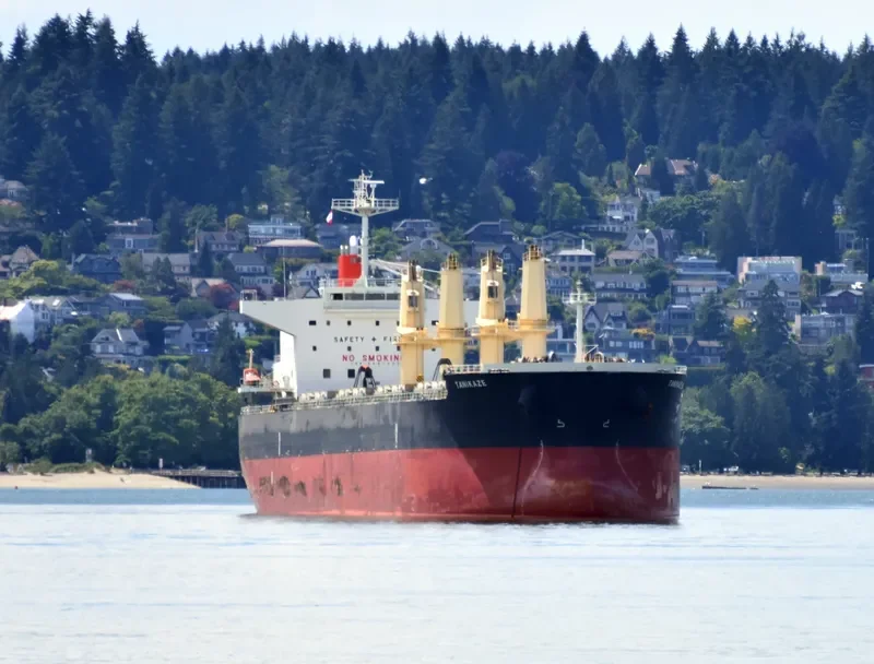 HPC ATLANTIC Bulk Carrier IMO 9667899 photo 8