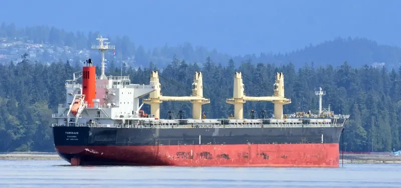 HPC ATLANTIC Bulk Carrier IMO 9667899 photo 10