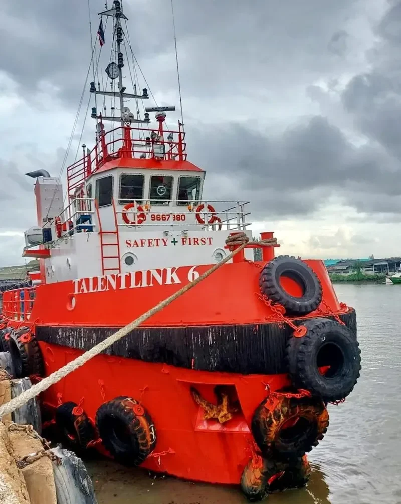 TALENTLINK 6 General Cargo IMO 9667980 photo 5